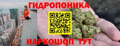 прущие грибы Лесосибирск