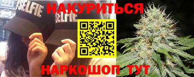 прущие грибы Лесосибирск